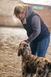 Students gaining real-world dog handling experience on the Skills and Education Group accredited Essential Canine Life Skills programme.